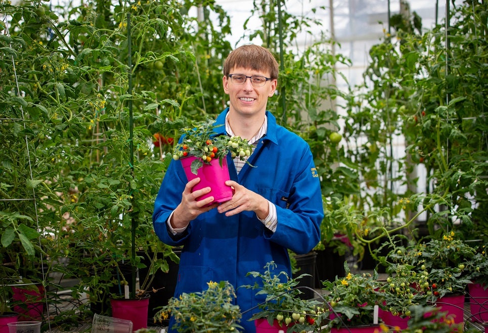 Robert Jinkerson with his "space tomatoes"