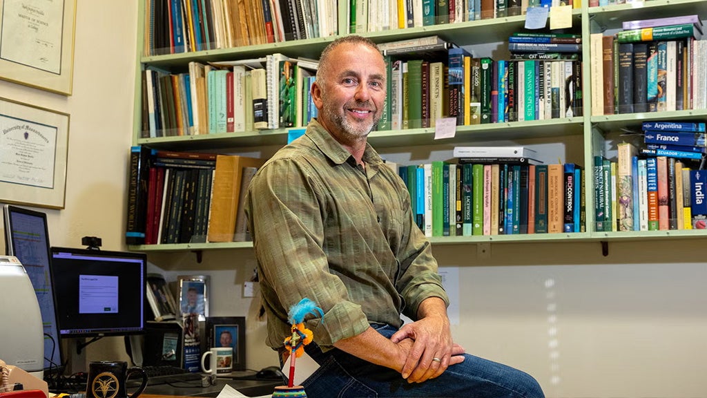 A Curious Buzz with Mark Hoddle