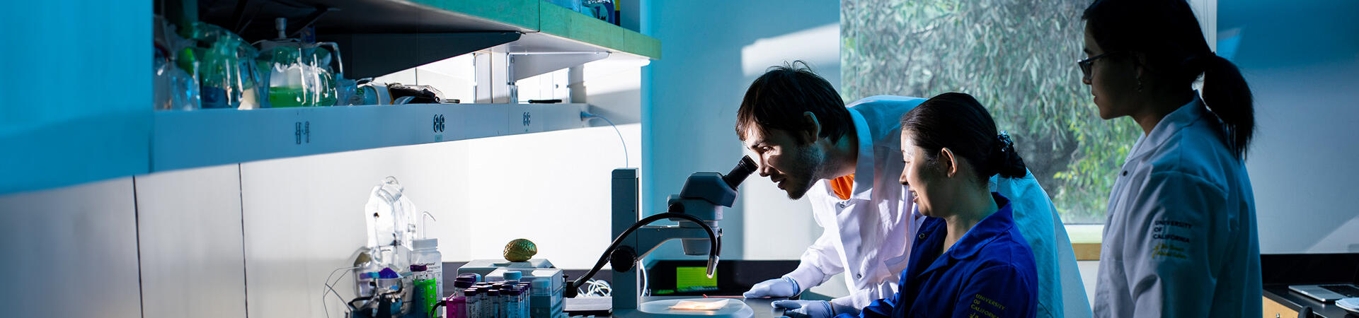 Undergraduate research at UC Riverside